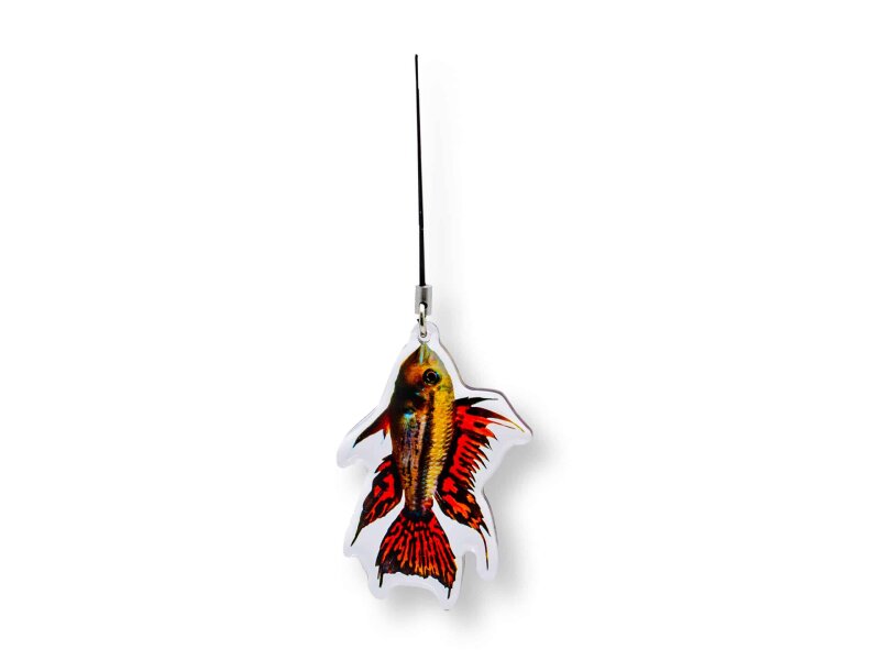 Pendants for aquarists - with attention to...