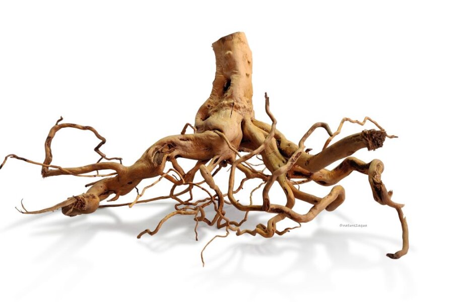 Roots & wood for the aquarium
Natural...