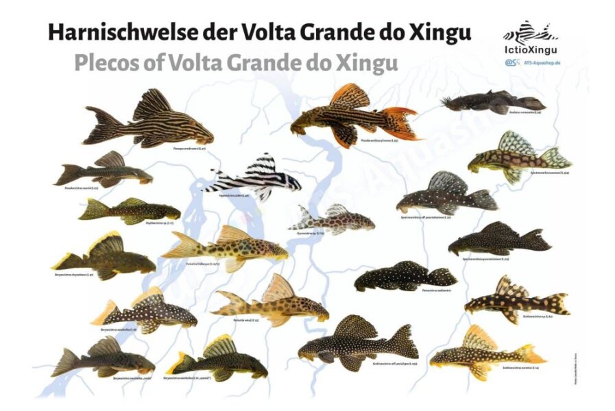 High-quality aquarium posters for aquarium...