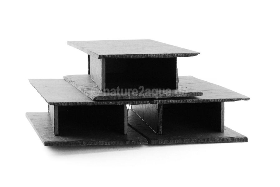Ideal hiding places and spawning grounds for...