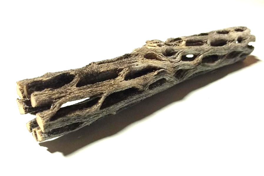 Cholla cactus wood tubes
