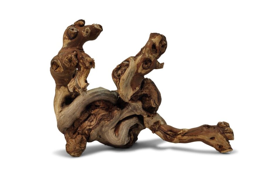 Vine aquarium roots