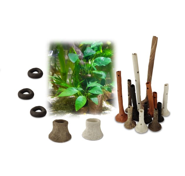 Fixing plants easily - decorative &...