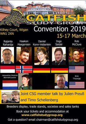 Catfish Study Group Convention 2019 - we&#039;re back in! - Catfish Study Group Convention 2019 - we&#039;re back in!