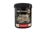 EBO Artemia Paste Premium Fish Food