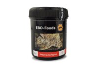 EBO Artemia Softgran Premium Fish Food