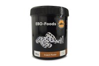 EBO Insect Paste Premium Fish Food