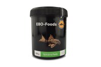 EBO Spirulina Paste Premium Fish Food