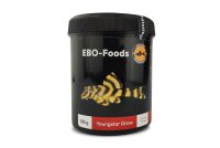 EBO Youngster Grow Paste Premium Fish Food