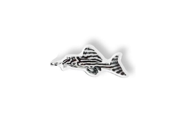 Key chain Hypancistrus zebra L 46
