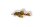 Key chain Peckoltia compta L 134