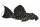 Sticker Pseudacanthicus sp. L 97