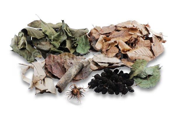 Leaves tryout box for aquarium