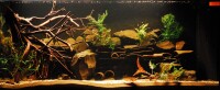 Fermendo HUMIN Booster - Humic substances in the aquarium