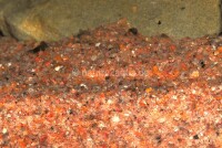 Granoflour&reg; aquarium sand red