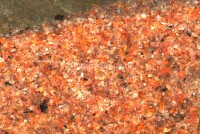 Granoflour&reg; aquarium sand red