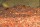 Granoflour® aquarium sand red