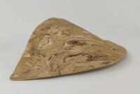 Large clay leaf as a hiding place in the aquarium