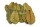 Guava leaves green for aquarium