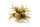 Turkish Hazel husk big