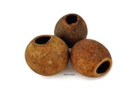 Wood Apple Cave Hiding place in the aquarium