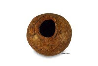 Wood Apple Cave Hiding place in the aquarium