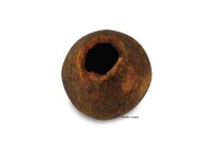 Wood Apple Cave Hiding place in the aquarium