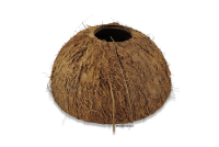Coconut-Igloo-Cave Apistogramma for aquarium
