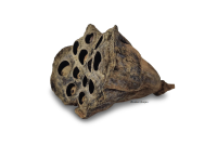 Lotus pod for aquarium