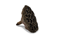 Lotus pod for aquarium