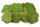 Mulberry leaves for aquarium 10 small leaves Smoothly pressed
