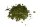 Moringa leaves for aquarium