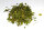 Moringa leaves for aquarium