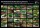 Poster: The Bristlenose Catfishes of the Genus Ancistrus