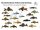 Poster: Plecos of Volta Grande do Xingu