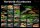 Poster: The World of Livebearers – Swordtails