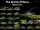 Poster: The World of Plecos – Hypancistrus