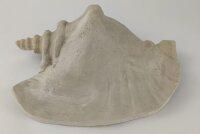 Snail Shell Sea Snail Half Shelter light grey No. E3