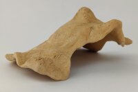 Snail Shell Sea Snail Half Shelter surprise No. E2