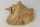 Snail Shell Sea Snail Half Shelter surprise No. E2