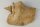 Snail Shell Sea Snail Half Shelter surprise No. E2
