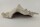 Snail Shell Sea Snail Half Shelter Vintage No. D37