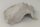 Snail Shell Sea Snail Half Shelter Vintage No. E5
