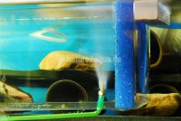 Free floating breeding box small - incl. bark hiding places