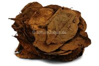 Indian almond leaves nano for aquarium