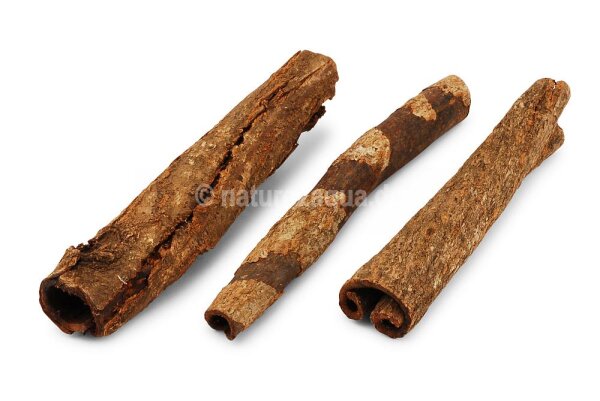 Indian almond Catappa bark tubes for aquarium