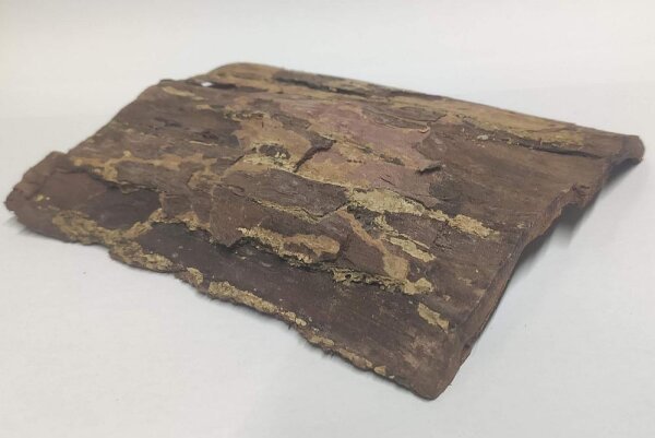 Indian almond bark plates for aquarium