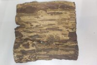 Indian almond bark plates for aquarium