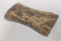 Indian almond bark plates for aquarium