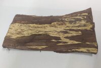 Indian almond bark plates for aquarium